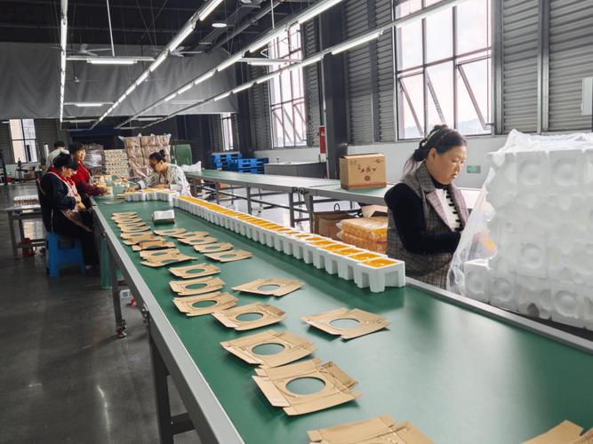 匠心包装，酿就白酒之美 走进四川风行包装制品生产车间